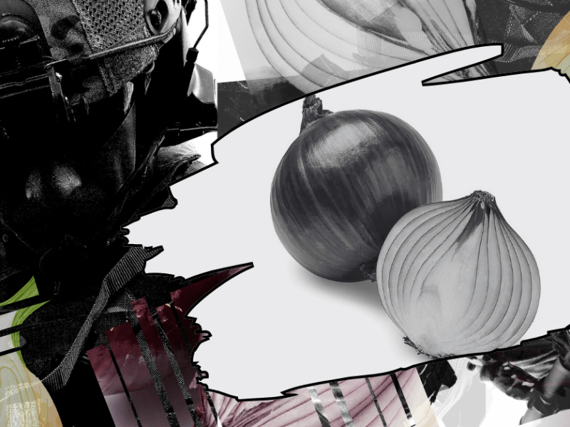 The Onion Hates&nbsp;ICE