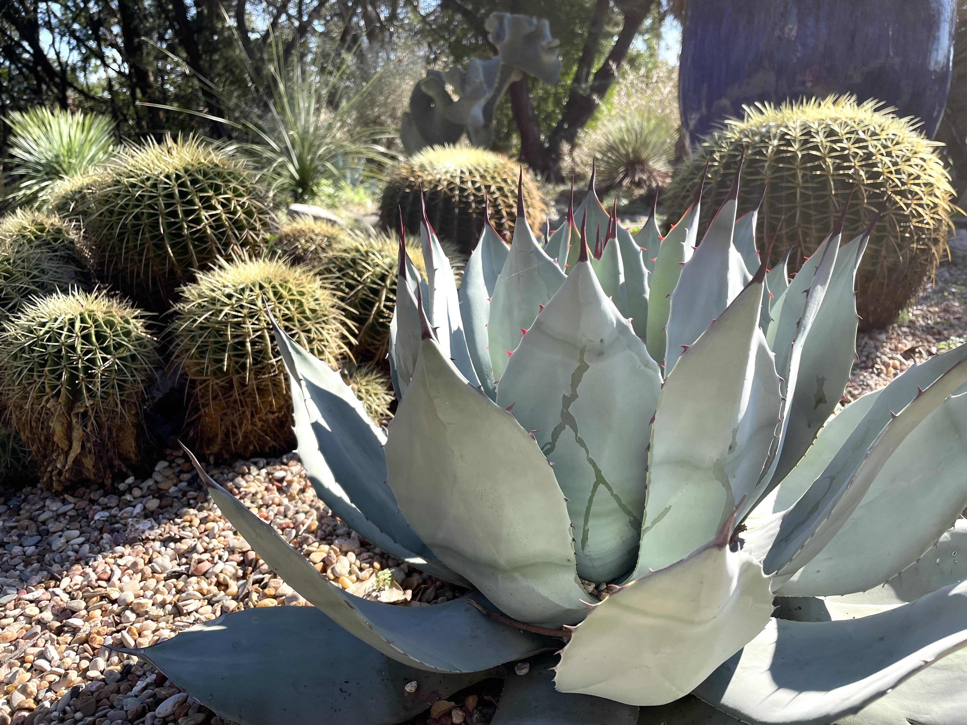 Sunday Stills: January Light